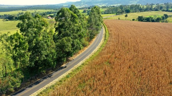 Rural Canada Road