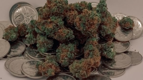 Marijuana buds on Canadian coins