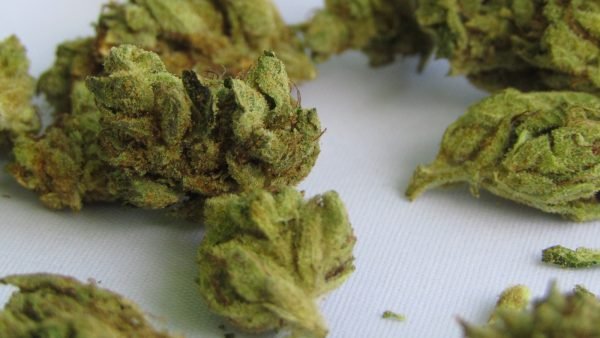 Cannabis flowers