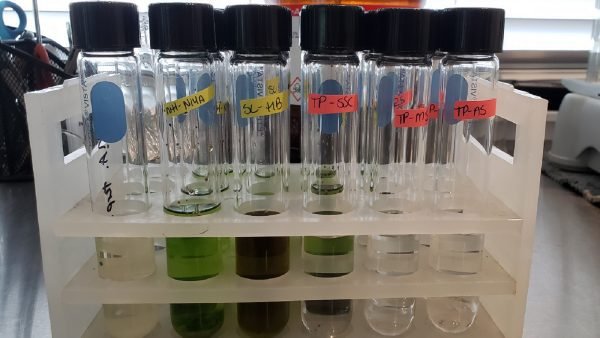 ample Extraction Tubes