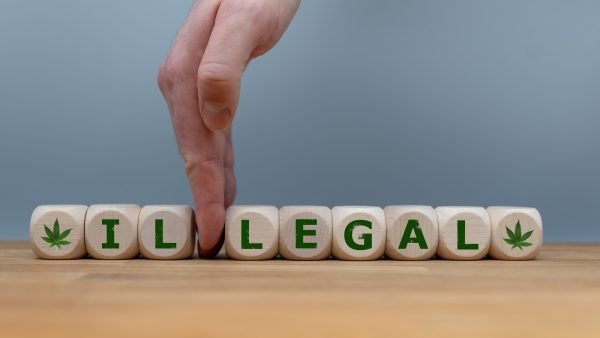Legal Market Overtaking Illicit