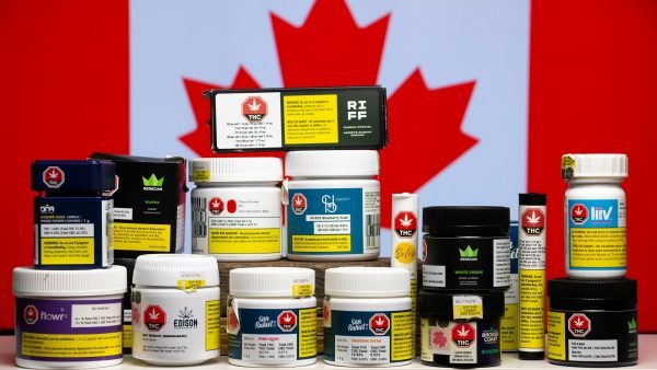 Coming back from a 15.17% increase in July, cannabis retail sales saw modest growth of 5% in August, growing from $232.7 million to $244.89 million.
