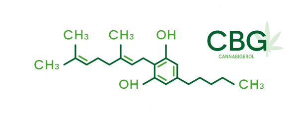 Producers are leading the way with research and development of lesser known cannabinoids such as CBG, CBN, THCV, and Delta 8.