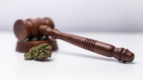 The scheduled 3-year legislative review of the Federal Cannabis Act in October 2021 will be another exciting milestone on Canada&rsquo;s adult-use cannabis journey.