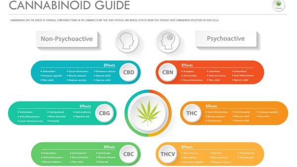 Producers are leading the way with research and development of lesser known cannabinoids such as CBG, CBN, THCV, and Delta 8.