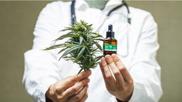As of September 2020, 420,235 Canadians are registered as medical cannabis users. Of those, 377,024 purchase their medicine from federally licensed producers.