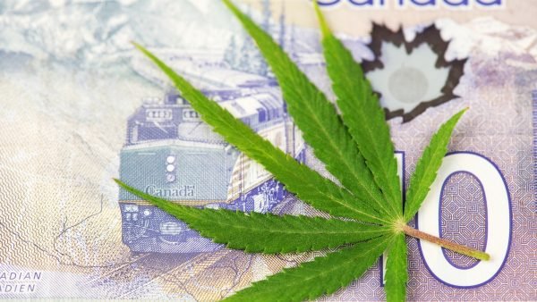 From July to the end of September, Canadians spent $1.72 billion on recreational cannabis and more than half of it was purchased from legal sources.
