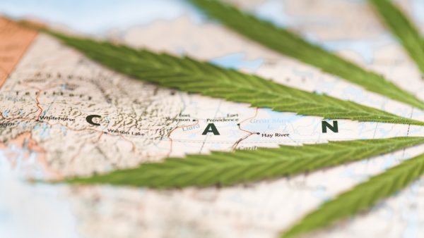As of December 31, 2020, the national average monthly sales per store was $208,843. How does each province stack up against the national average?