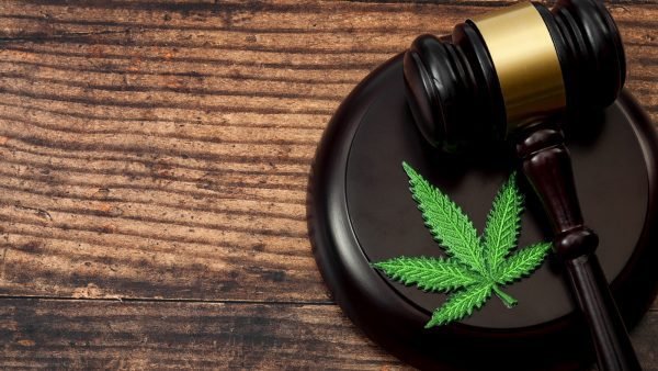 Scarborough MPP Aris Babikian has asked to restrict cannabis stores to industrial areas while Progressive Conservative MPPs push for tighter legislation.