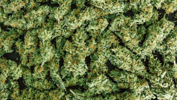 While the total number of units sold may have decreased, Canada's total of unpackaged dried cannabis surpassed the 1 million mark in November.