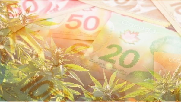 According to the SQDC, the government-run retailer reported $173 million in sales during its 16-week third quarter ending January 2, 2021.