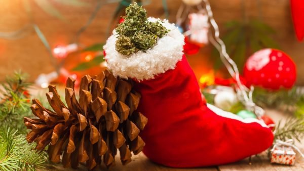 ﻿ With cannabis and cannabis-derived products gaining popularity and acceptance in Canada, it makes sense that Canadians would want to gift them...