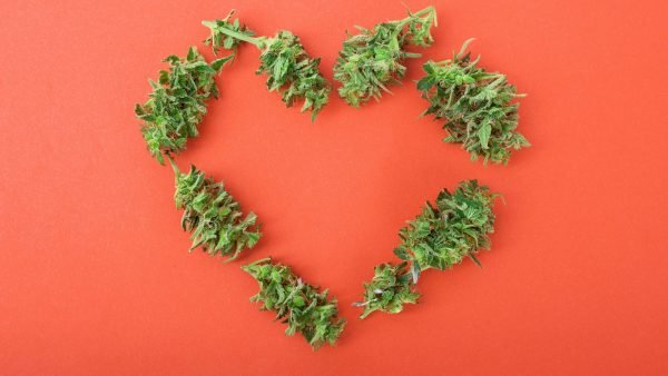 ﻿ While cannabis retail sales numbers can be illuminating, the picture they create can be skewed by the vast difference in store numbers and population.