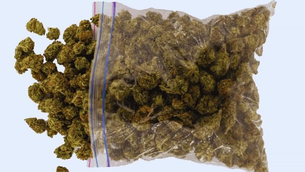 ﻿ With many Canadians now within walking distance of a cannabis retailer, why are one in five customers still choosing to shop on the illicit market?