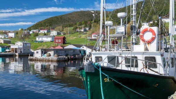 ﻿ The Newfoundland and Labrador Liquor Commission (NLC), the regulating body for cannabis in the province, is taking a measured approach to cannabis retail.