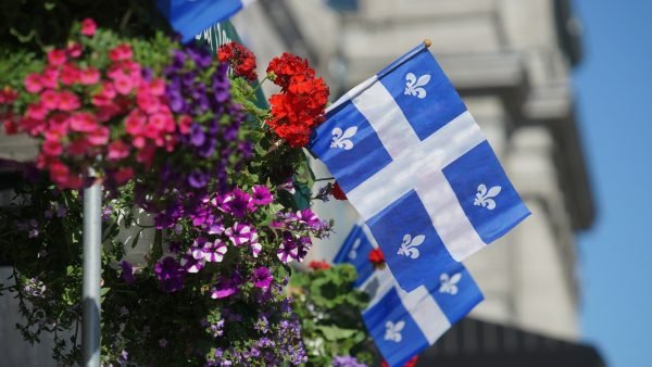 ﻿ The SQDC has appointed Paul Furfaro as interim CEO while the board of directors oversee the recruitment process of a permanent CEO.