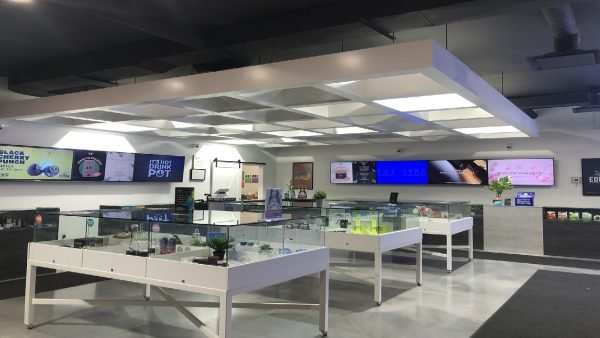 ﻿ Calgary-based FOUR20 recently acquired 3 competitors &ndash; Green Rock, Urban Canna, & Bene Buds &ndash; which will allow opening of 10 new FOUR20 locations this month.