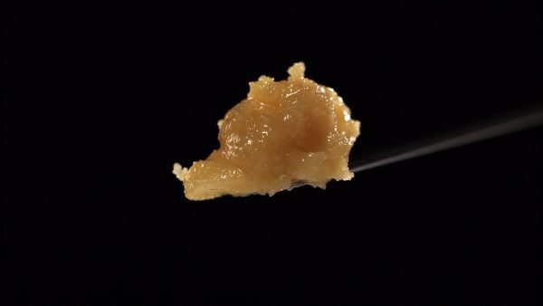 resin