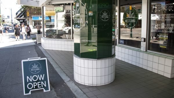 cannabis store
