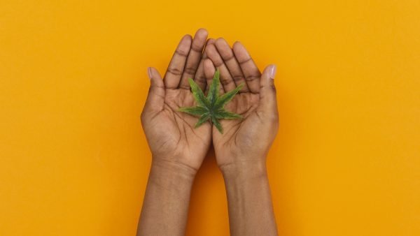 ﻿ Black, Indigenous, and People of Colour (BIPOC) are historical keepers of the land. This article explores the history of North America&rsquo;s BIPOC and cannabis.