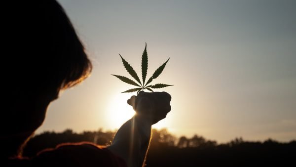 ﻿ Canadian cannabis retail sales were up in December 2021, increasing from November 2021 by 8.5% to $382.4 million. Canadians bought $3.92 billion worth of cannabis in 2021.