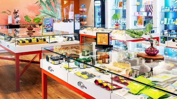cannabis store