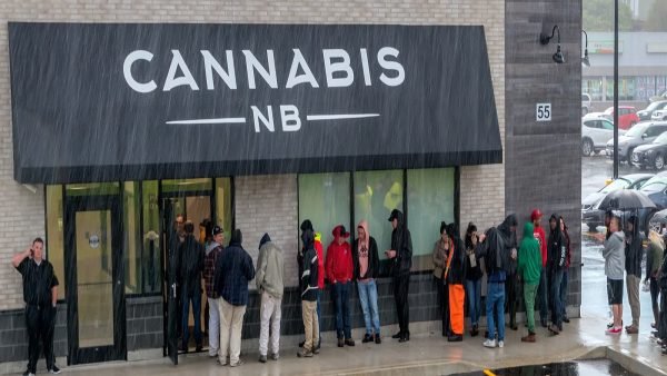 Cannabis NB