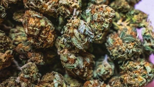 ﻿ The Flower category has the highest market share of all cannabis products but that wallet share is decreasing in Canada with new formats and a maturing market.