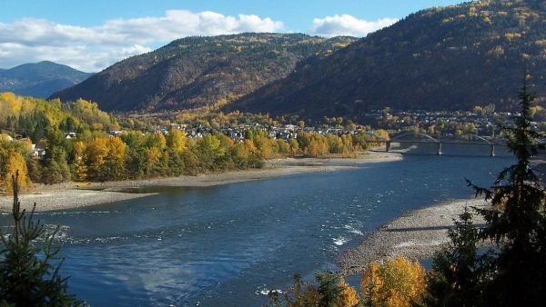 ﻿ As the cannabis industry continues to evolve, many are realizing how cannabis can support and contribute to the health and wellbeing of local economies.