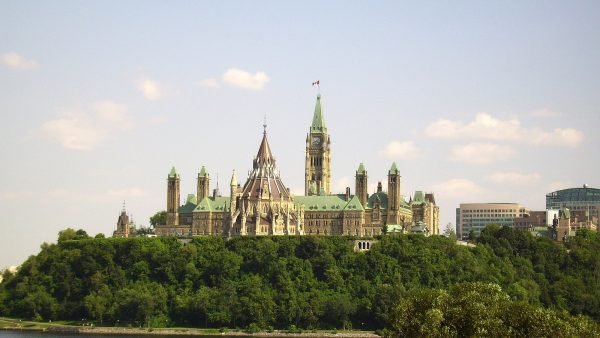 ﻿ The Government of Canada recently made its long-overdue announcement concerning the launch of a legislative review of the Canadian Cannabis Act.