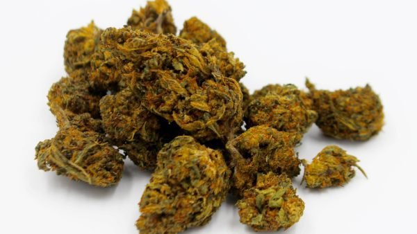 ﻿ The Alcohol and Gaming Commission of Ontario recently distributed communication to licensed cannabis retailers warning against selling to illicit buyers.