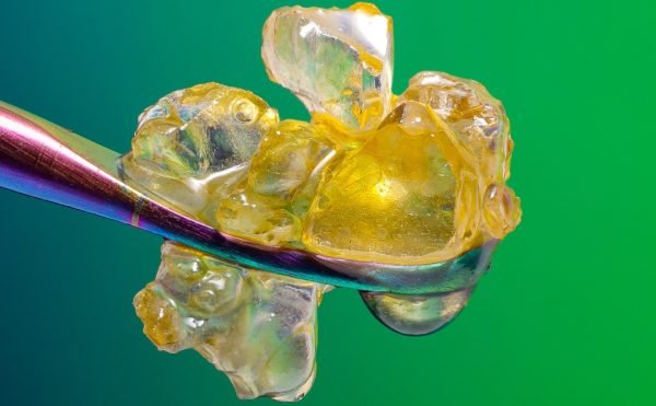 ﻿ We regularly hear of THC percentages when talking about smoking intoxicating cannabis cultivars, but what about isolating THC on its own as a cannabinoid?