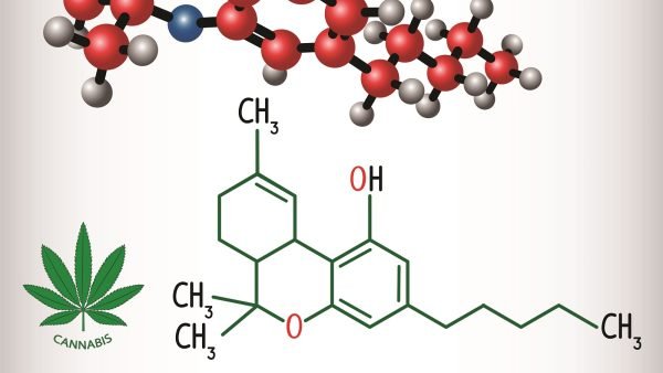 ﻿ THC begins as THCA, which is derived from cannabigerolic acid. When heat is applied through decarboxylation, the THCA molecule is transformed into THC.