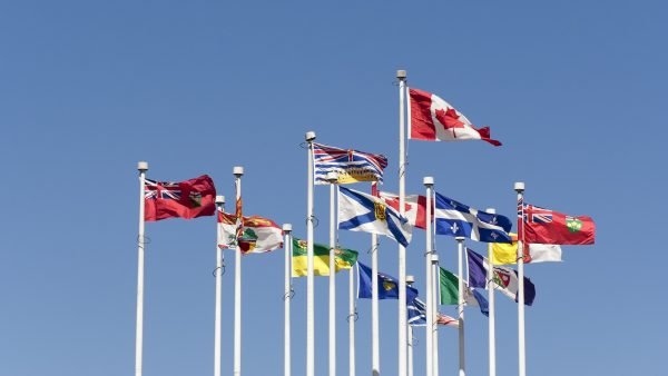 ﻿ In the Canadian cannabis realm, growing cannabis from home can be a viable and affordable option for cannabis consumers and enthusiasts alike.