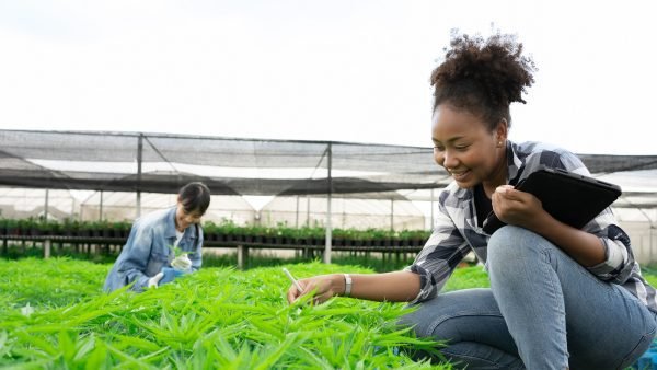 ﻿ The cannabis industry today is vastly different from that of its inception over four years ago. The Canadian cannabis market was one of rapid growth.