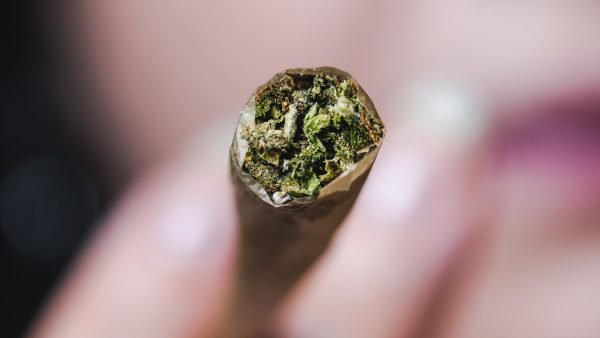 ﻿ Appealing new product formats are starting to emerge. In today's markets, we see state-of-the-art innovation combined with age-old traditions.