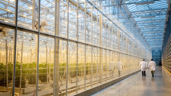 ﻿ Consumer packaged goods company Tilray Brands is acquiring licensed product HEXO Corp., the company announced earlier this month.