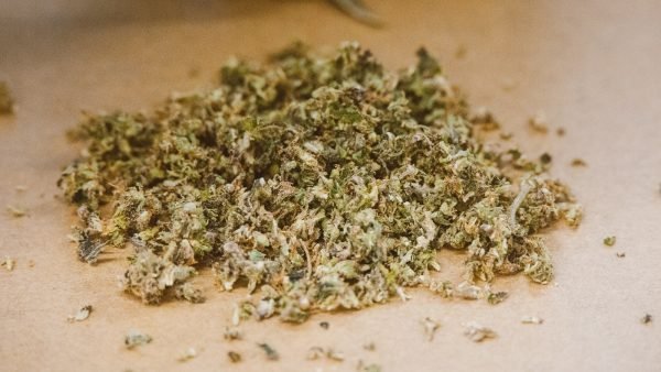 ﻿ BDSA Consumer Insights data shows that those who purchase more often and spend more are more likely to buy or replenish their cannabis in an organized manner.