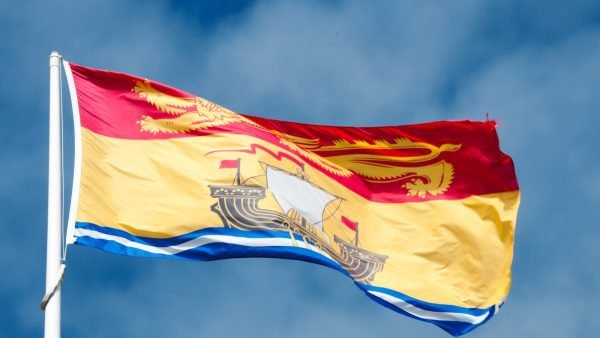 ﻿ New Brunswick could see its first privately-owned cannabis stores open this June, with additional stores opening throughout the summer.