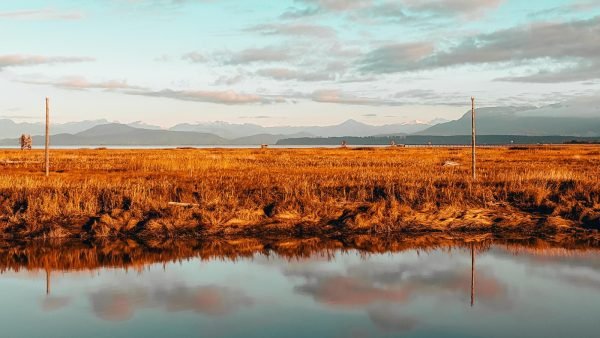 ﻿ Richmond, British Columbia&rsquo;s fourth largest city is not reconsidering its ban on cannabis stores.