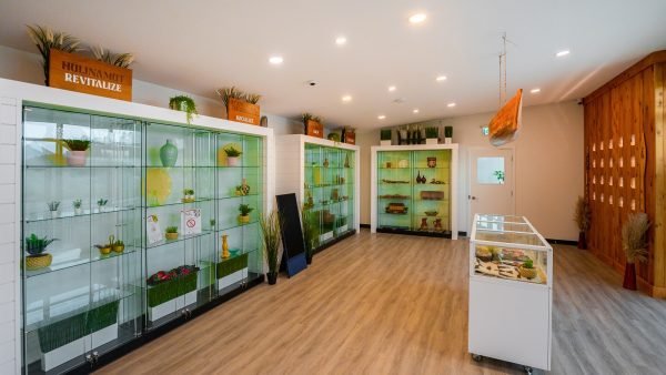﻿ All Nations is an Indigenous-led cannabis company producing and selling Indigenous grown craft cannabis on the St&oacute;:lō Traditional Territory in BC.