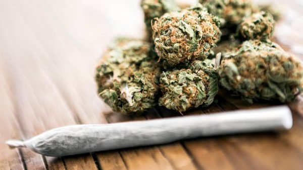 ﻿ Cannabis Retailer recently commissioned Caddle Insights to survey Canadians on their cannabis shopping habits, consumption, spend on craft cannabis, and more.