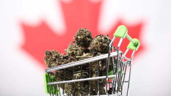 ﻿ Cannabis Retailer recently commissioned Caddle Insights to survey 9,086 Canadians in June 2023 on their cannabis shopping habits and store preferences.