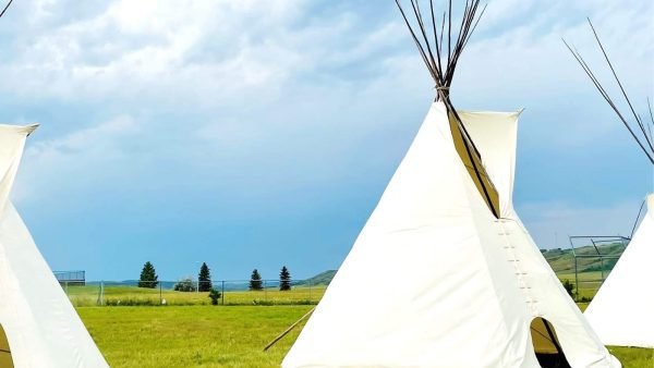 ﻿ Miyo Ask&icirc;y Cannabis Co. is the latest Indigenous cannabis store in Saskatchewan to open in a First Nations community and under their own local regulations.