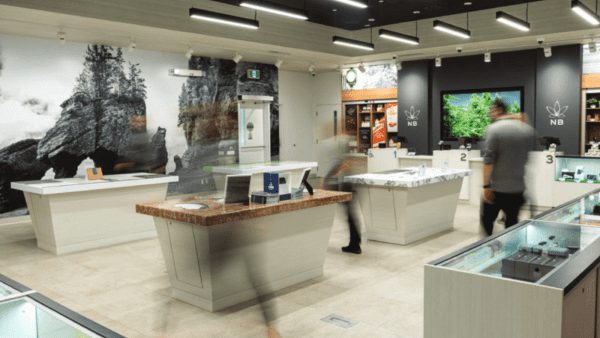 ﻿ Cannabis NB released its first quarter results for 2023-2024 ending July 2, 2023. Total product sales were up 11% compared to the same period last year.