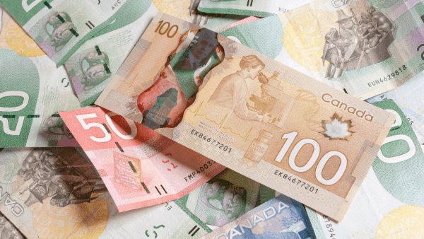 ﻿ A new review of Health Canada&rsquo;s cost recovery program for cannabis license holders found the organization recovered less than 40% of administration fees.
