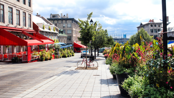 ﻿ Montreal has the cheapest cannabis price in the world while Toronto has the seventh highest consumption, according to a new global study.