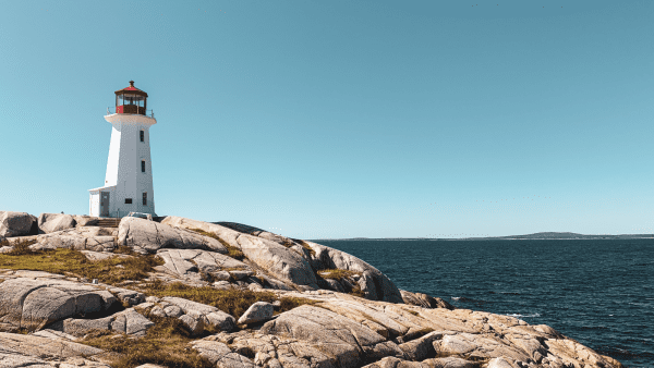 ﻿ Despite declining beverage sales, cannabis sales were up 6.7% in Nova Scotia this past quarter according to Nova Scotia Liquor Corporation financial results.