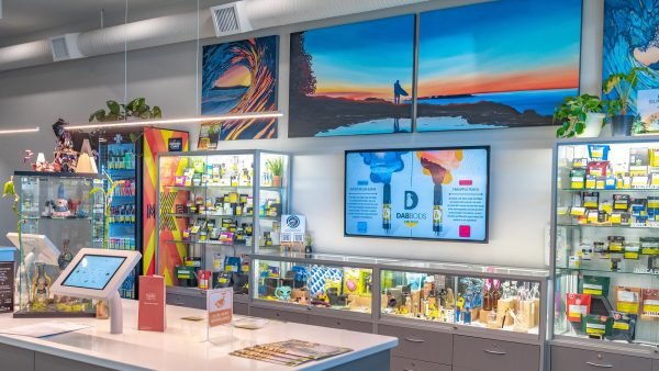 The legal industry continues to work to displace the illicit market with some arguing that barriers still exist making it difficult for the legal industry.