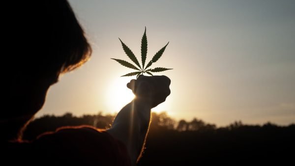 ﻿ The C3 is marking the five-year cannabis legalization anniversary by calling on governments to make the changes needed to save the struggling sector.